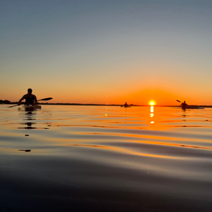 2025 Fall Programs: ADULT SPRINT CANOE/KAYAK (Masters) - September 9th - October 23rd, 2025
